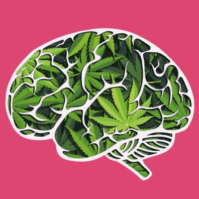 Analizan el impacto del consumo de cannabis en la funcin cerebral